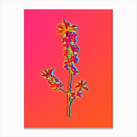 Neon February Daphne Flowers Botanical in Hot Pink and Electric Blue Canvas Print