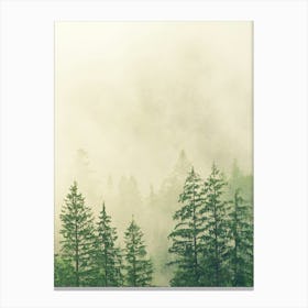 Misty Forest 1 Canvas Print