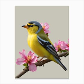 Yellow Warbler Canvas Print