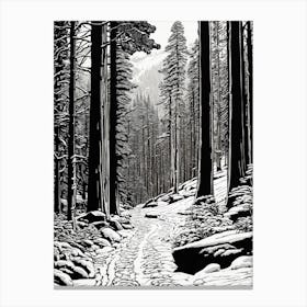 Snowy Path In The Woods Canvas Print