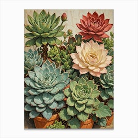 Succulents In Pots no1 Canvas Print