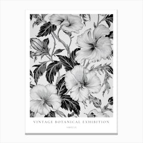 Hibiscus B&W Vintage Botanical Poster Canvas Print