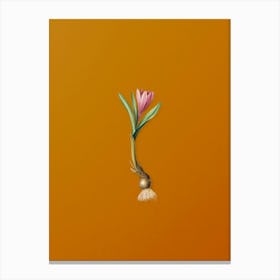 Vintage Spring Meadow Saffron Botanical on Sunset Orange n.0859 Canvas Print