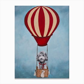 Poodle With Airballoon Canvas Print