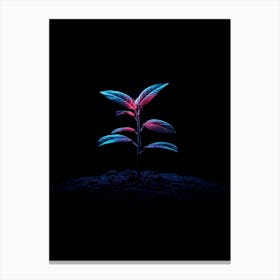 Plant Growing In The Dark 22 Canvas Print