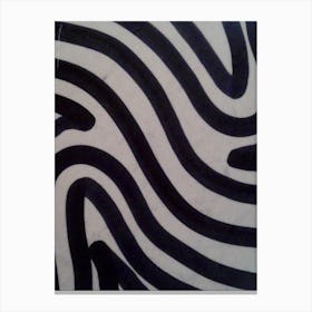 Zebra Stripes Canvas Print