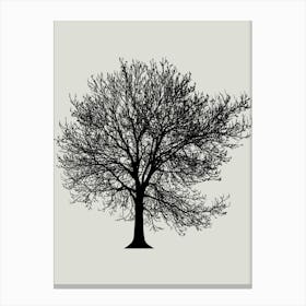 Bare Tree 3 Canvas Print