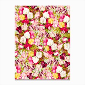 Sweet and Sour Canvas Print
