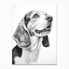 Beagle Dog, Line Drawing 2 Canvas Print