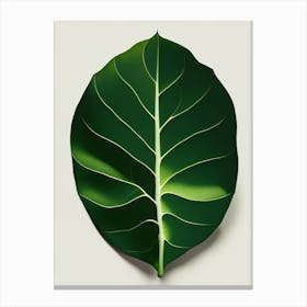 Pear Leaf Vibrant Inspired 2 Canvas Print