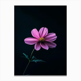 Cosmos Flower Canvas Print