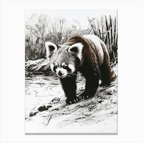Red Panda Standing On A Riverbank Ink Illustration 4 Canvas Print