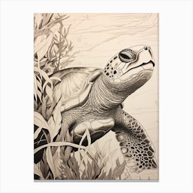 Sepia Illustration Sea Turtle Behind Seagrass Canvas Print