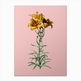 Vintage Fire Lily Botanical on Soft Pink n.0745 Canvas Print