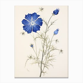 Blue Botanical Love In A Mist Nigella 2 Canvas Print