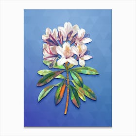 Vintage Common Rhododendron Botanical Art on Blue Perennial Canvas Print