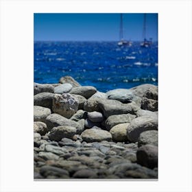 Rocks On The Beach Canvas Print