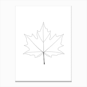 Maple Leaf Lienzo