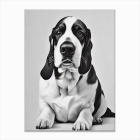 Basset Hound B&W Pencil dog Canvas Print