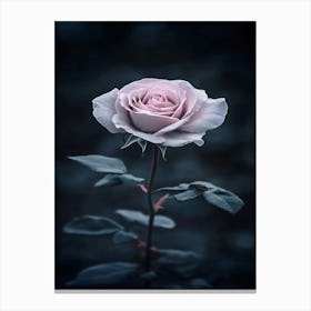 Dark Rose 9 Canvas Print