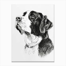 Greater Swiss Mountain Dog Line Sketch 4 Canvas Print