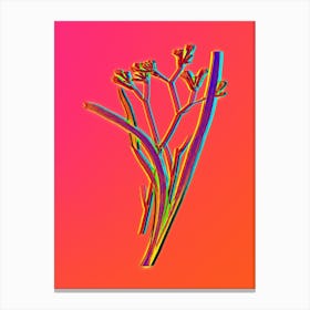Neon Anigozanthos Flavida Botanical in Hot Pink and Electric Blue Canvas Print