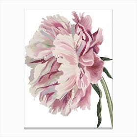 Pink Peony 1 Canvas Print