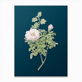 Vintage Ventenat's Rose Botanical Art on Teal Blue n.0037 Canvas Print
