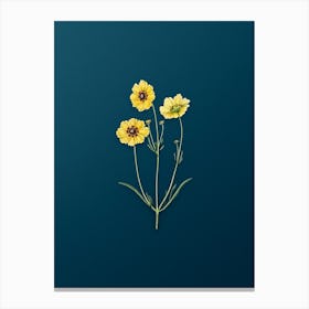 Vintage Perennial Dyer's Coreopsis Flower Botanical Art on Teal Blue n.0378 Canvas Print