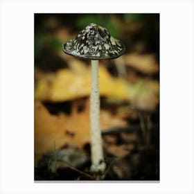 Brown Mushroom // Nature Photography 4 Canvas Print
