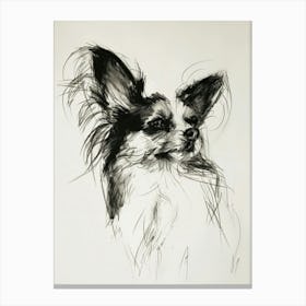 Papillon Dog Charcoal Line 1 Canvas Print