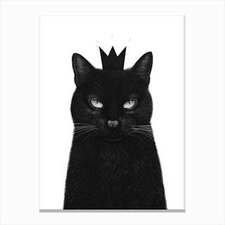 King Cat Canvas Print