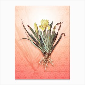 Crimean Iris Vintage Botanical in Peach Fuzz Asanoha Star Pattern n.0091 Canvas Print