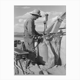 Mormon Farmer Who Lives In Snowville, Utah And Who Farms In Oneida County, Idaho, Bagging Wheat By Russell Lee Canvas Print