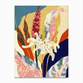 Colourful Flower Illustration Celosia 3 Canvas Print