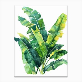 Banana Leaf 15 Canvas Print