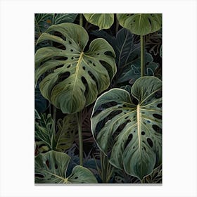 Monstera Leaves 3 Canvas Print