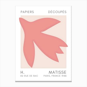 Matisse 27 Canvas Print