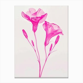 Hot Pink Lisianthus 2 Canvas Print