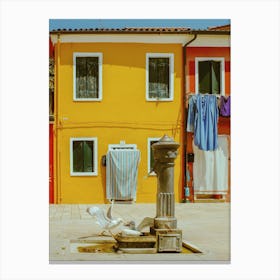 Birds Playing In Burano, Italy Canvas Print
