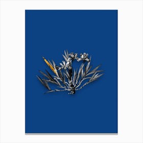 Vintage Dwarf Crested Iris Black and White Gold Leaf Floral Art on Midnight Blue Canvas Print
