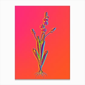 Neon Ixia Scillaris Botanical in Hot Pink and Electric Blue n.0621 Canvas Print