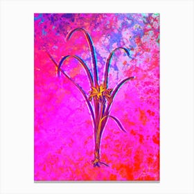 Grass Leaved Iris Botanical in Acid Neon Pink Green and Blue n.0023 Canvas Print