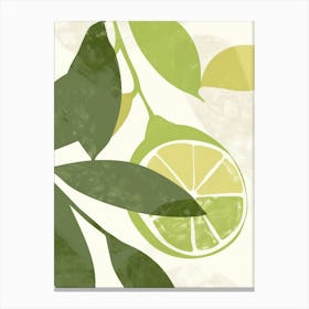 Limes Close Up Illustration 1 Canvas Print