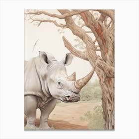 Rhino Under The Tree Vintage Illustration 1 Canvas Print