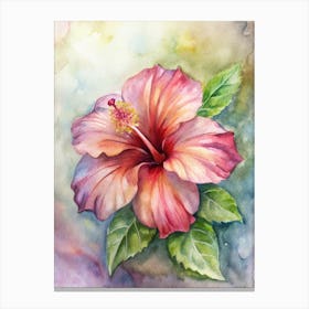 Hibiscus 7 Canvas Print