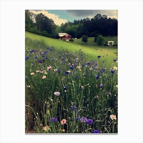 Field Of Wildflowers 1 Canvas Print