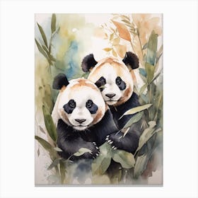 Panda Bears 1 Canvas Print