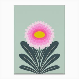 Cute Dahlia Canvas Print