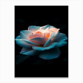 Rose In The Dark 5 Canvas Print